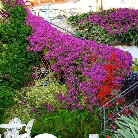 De Charme Regency Rocabruna